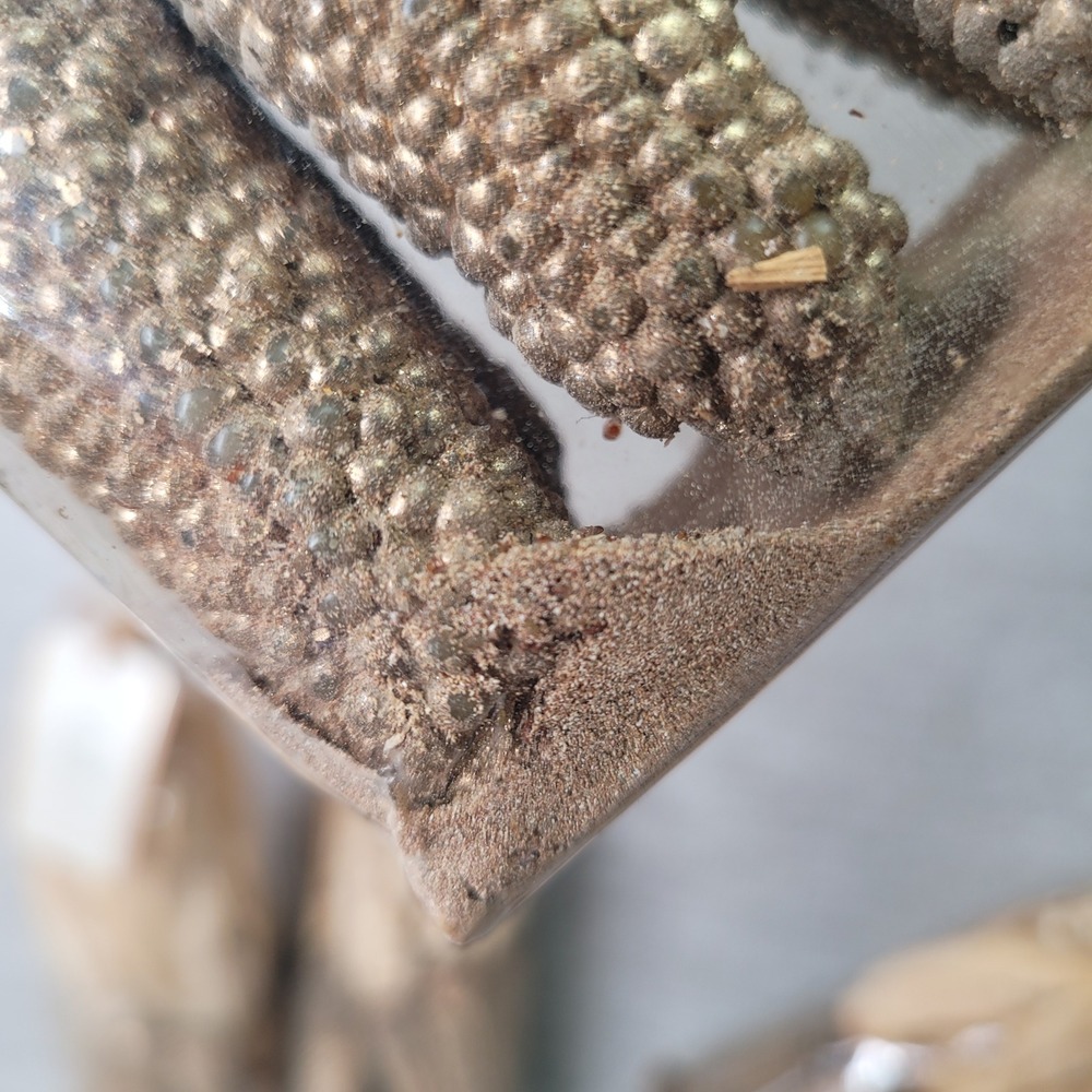 5 Pottery Barn Gilded Mini Corn Vase Filler Gold Autumn Harvest Decor RARE Stock - Picture 8 of 15